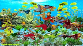 Guppies Deluxe Aquarium [Download]