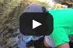 LifeStraw Personal Water Filter