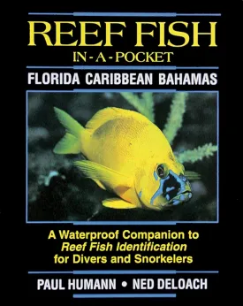 Reef Fish In A Pocket - Florida Caribbean Bahamas Pamphlet  December 30, 1999